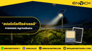 สปอร์ตไลท์โซล่าเซลล์ กับการเกษตรกรรมแบบ Agrivoltaics